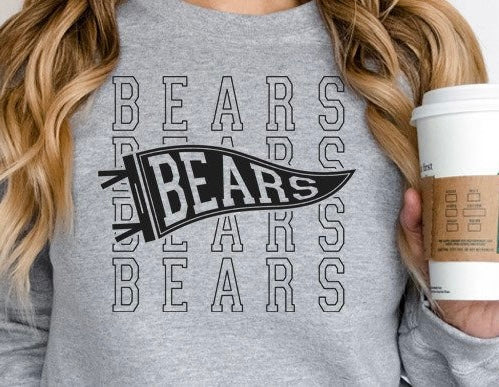 Variety of football team gray crewneck