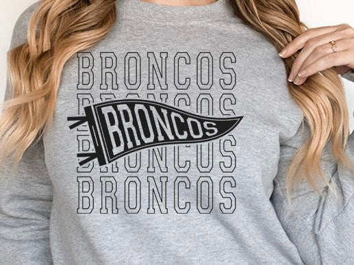 Variety of football team gray crewneck