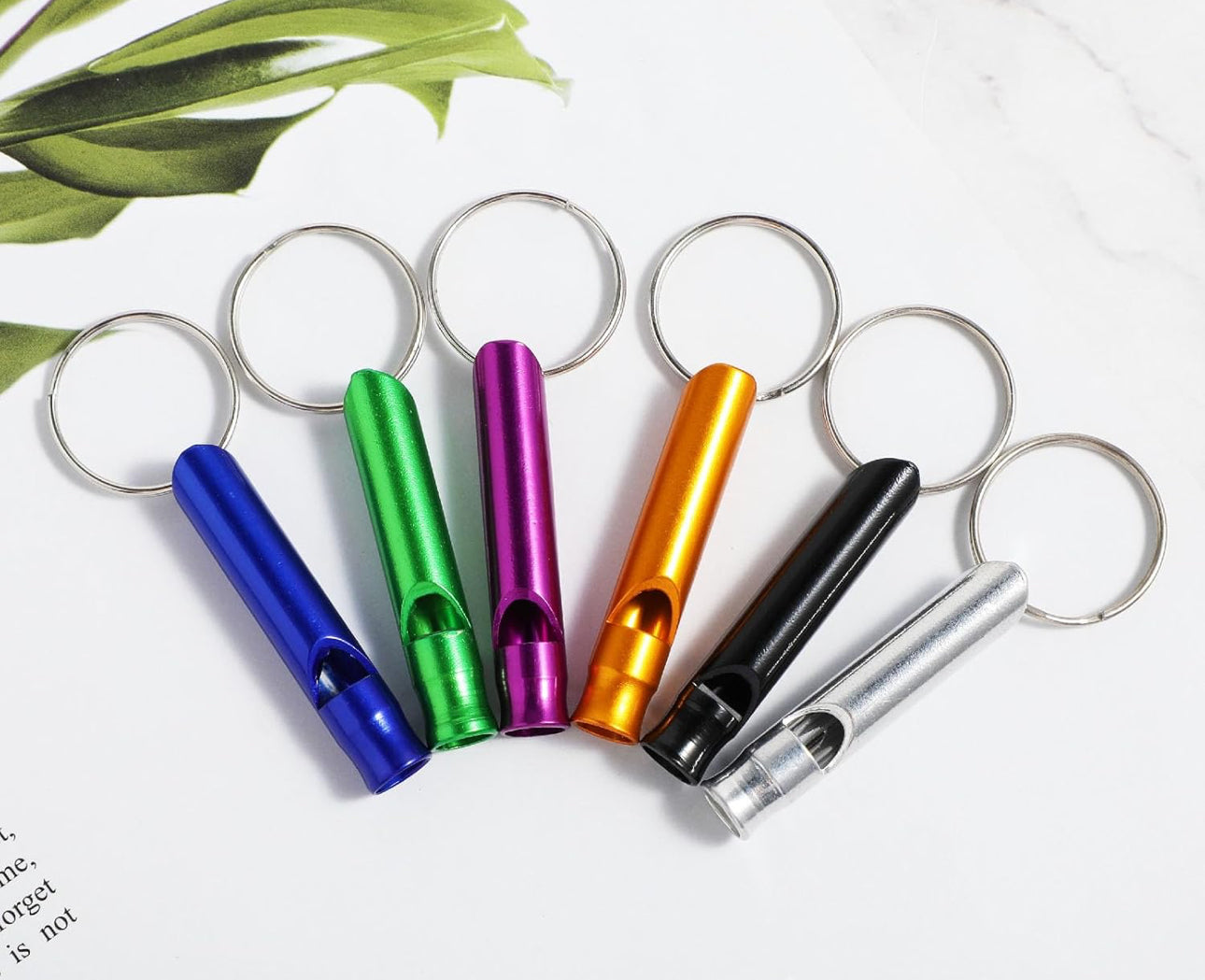 Whistle