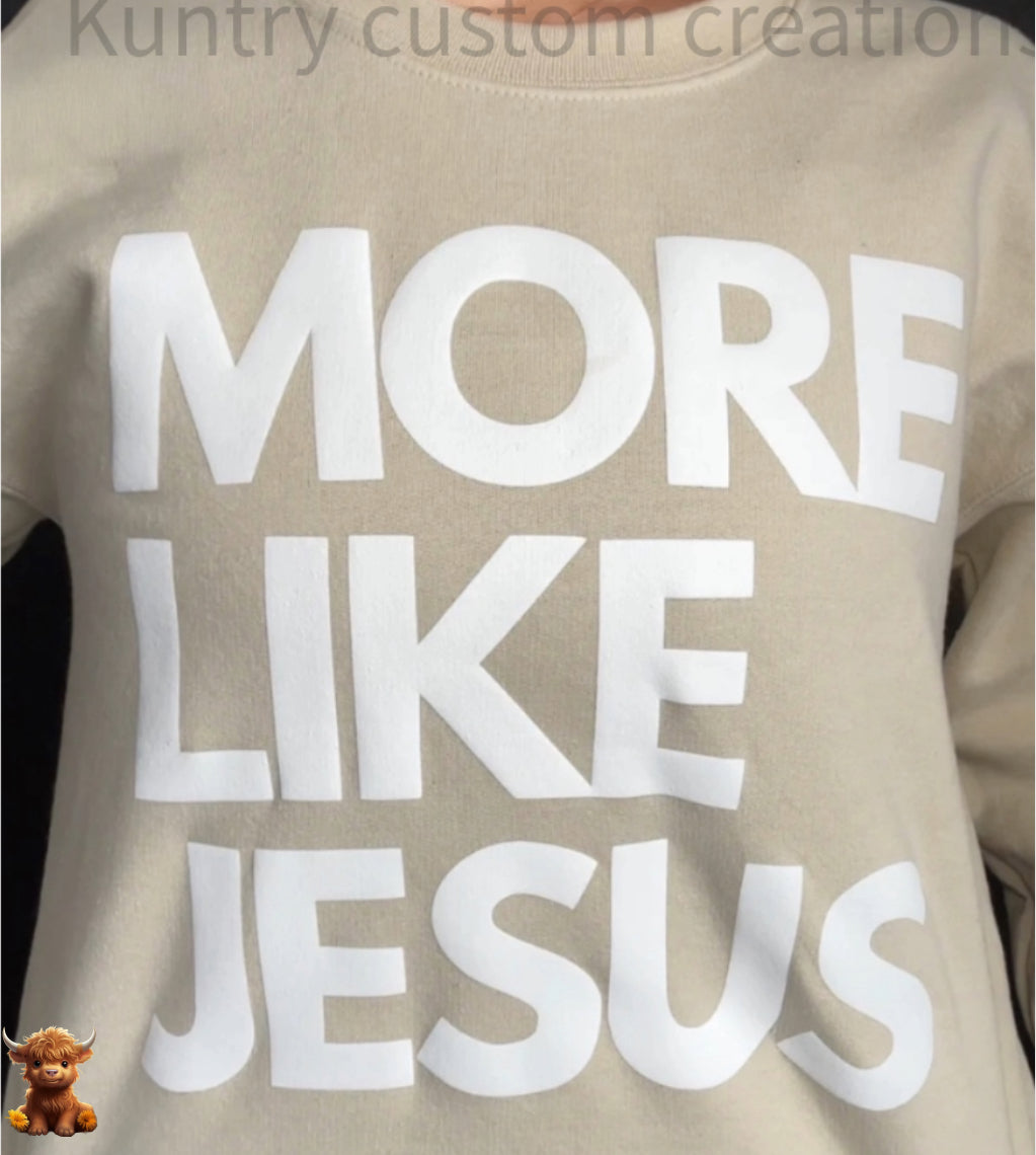 More like Jesus tshirt- comfort colors- conversation starter collection