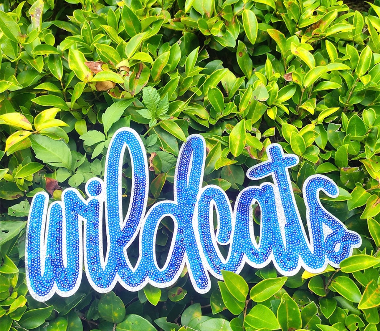 Wildcats iron on patch